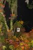 Ausstellung-Internationale-Orchideen-Welt-Bad-Salzuflen-NRW-2014-140302-DSC_0210.jpg